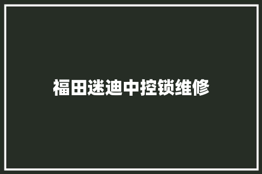 福田迷迪中控锁维修