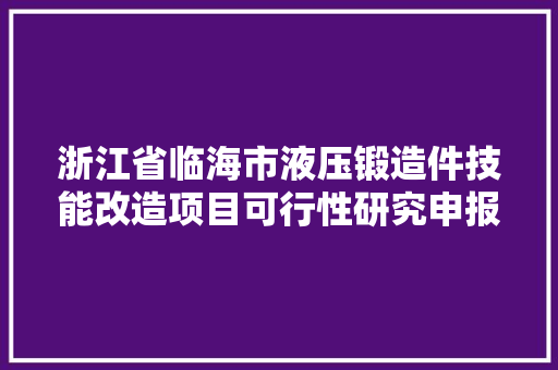 浙江省临海市液压锻造件技能改造项目可行性研究申报