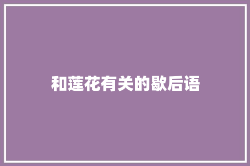 和莲花有关的歇后语
