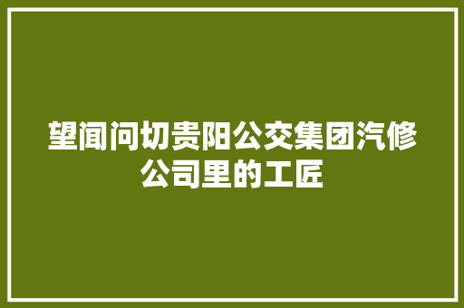 望闻问切贵阳公交集团汽修公司里的工匠