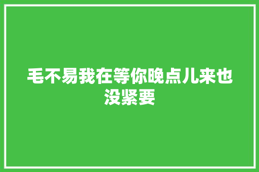 毛不易我在等你晚点儿来也没紧要 休闲娱乐