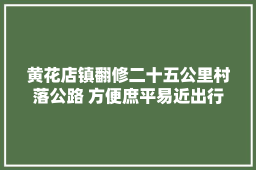 黄花店镇翻修二十五公里村落公路 方便庶平易近出行 汽车知识