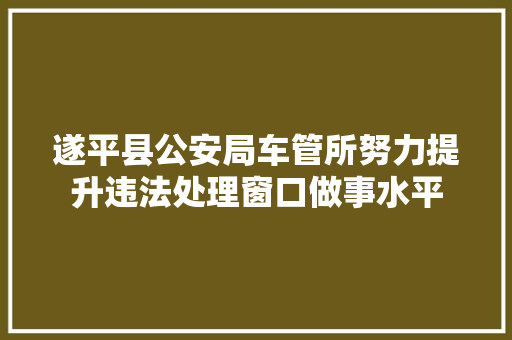遂平县公安局车管所努力提升违法处理窗口做事水平