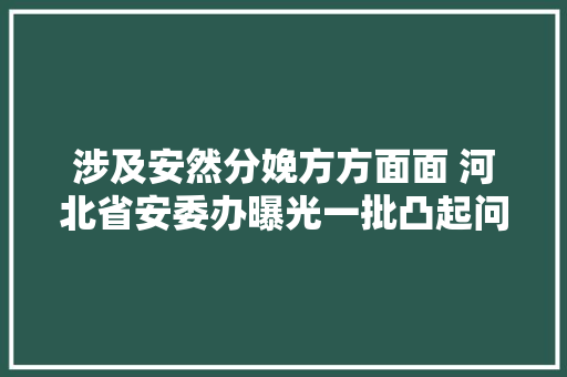 涉及安然分娩方方面面 河北省安委办曝光一批凸起问题隐患