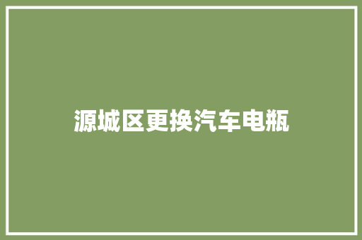 源城区更换汽车电瓶