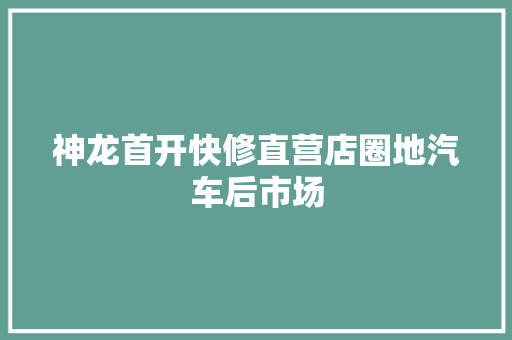 神龙首开快修直营店圈地汽车后市场