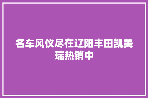 名车风仪尽在辽阳丰田凯美瑞热销中