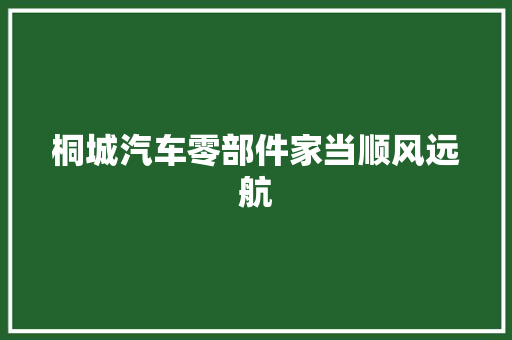 桐城汽车零部件家当顺风远航