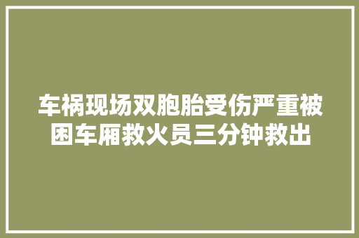 车祸现场双胞胎受伤严重被困车厢救火员三分钟救出