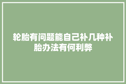 轮胎有问题能自己补几种补胎办法有何利弊 汽车知识