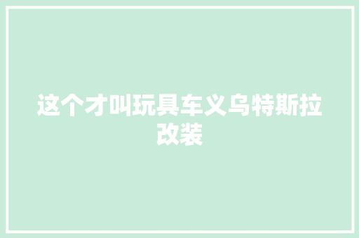 这个才叫玩具车义乌特斯拉改装