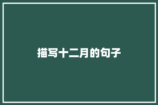 描写十二月的句子