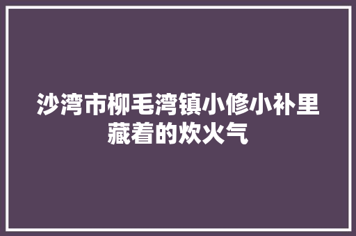 沙湾市柳毛湾镇小修小补里藏着的炊火气