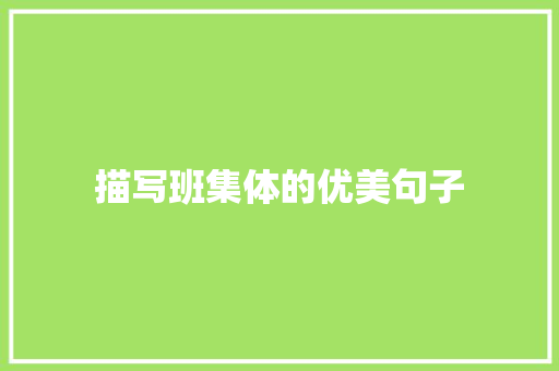 描写班集体的优美句子