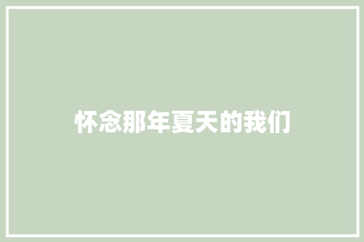 怀念那年夏天的我们