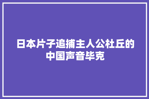 日本片子追捕主人公杜丘的中国声音毕克
