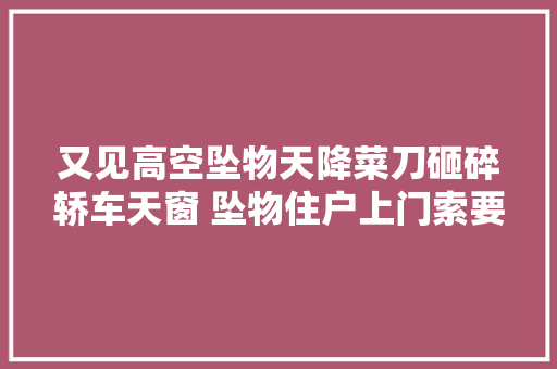 又见高空坠物天降菜刀砸碎轿车天窗 坠物住户上门索要菜刀后表示愿承担车辆增加的保费