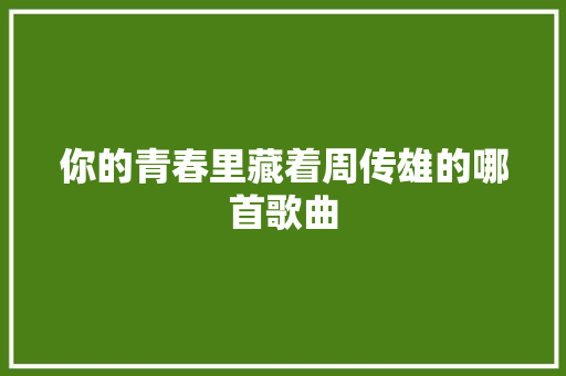 你的青春里藏着周传雄的哪首歌曲