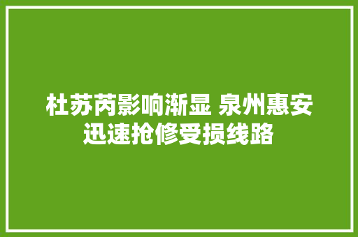 杜苏芮影响渐显 泉州惠安迅速抢修受损线路