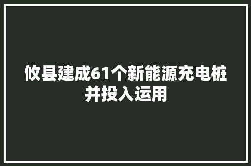 攸县建成61个新能源充电桩并投入运用