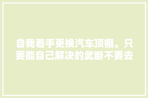 自我着手更换汽车顶棚。只要能自己解决的武断不要去维修店。