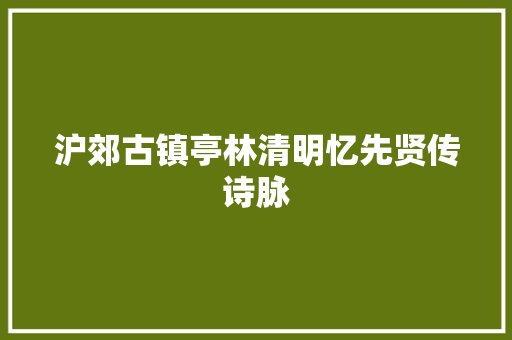 沪郊古镇亭林清明忆先贤传诗脉 汽车知识