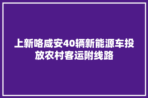 上新咯咸安40辆新能源车投放农村客运附线路