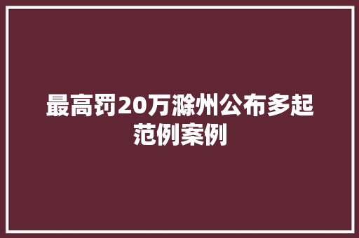 最高罚20万滁州公布多起范例案例