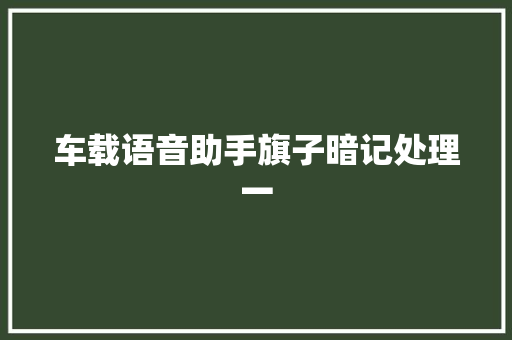 车载语音助手旗子暗记处理一