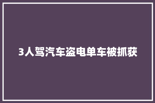 3人驾汽车盗电单车被抓获