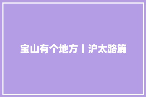 宝山有个地方丨沪太路篇