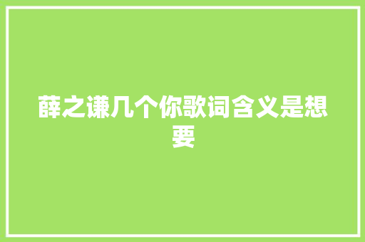薛之谦几个你歌词含义是想要