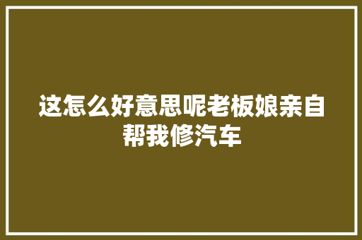 这怎么好意思呢老板娘亲自帮我修汽车 汽车知识