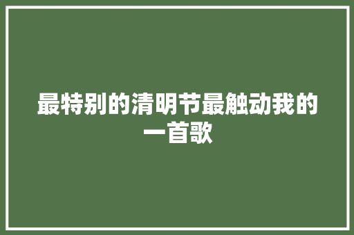 最特别的清明节最触动我的一首歌