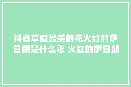 抖音草原最美的花火红的萨日朗是什么歌 火红的萨日朗在哪可以听歌词介绍 休闲娱乐