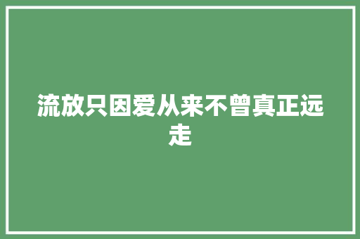 流放只因爱从来不曾真正远走