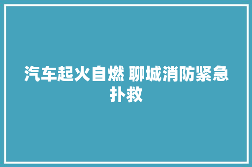 汽车起火自燃 聊城消防紧急扑救