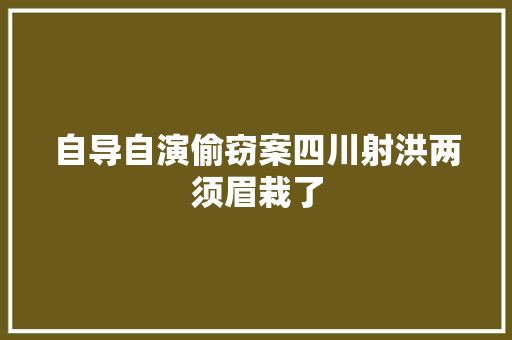 自导自演偷窃案四川射洪两须眉栽了
