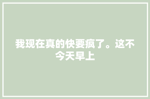 我现在真的快要疯了。这不今天早上