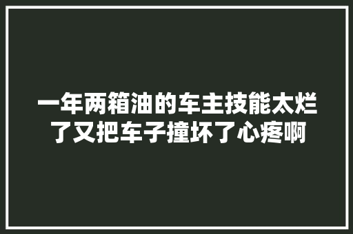 一年两箱油的车主技能太烂了又把车子撞坏了心疼啊