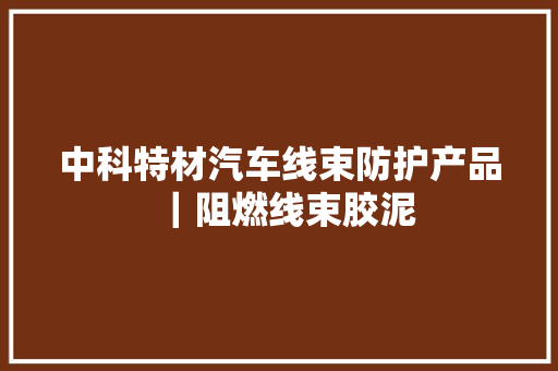 中科特材汽车线束防护产品｜阻燃线束胶泥