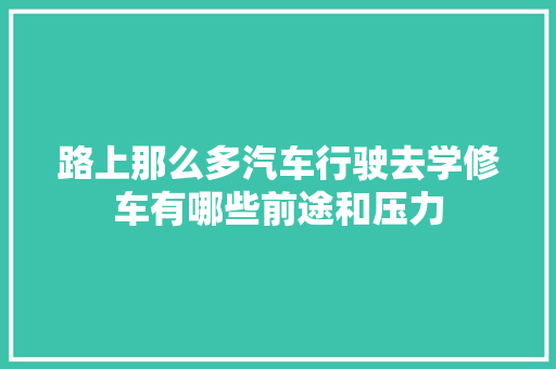 路上那么多汽车行驶去学修车有哪些前途和压力