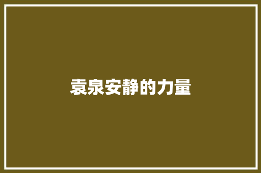 袁泉安静的力量