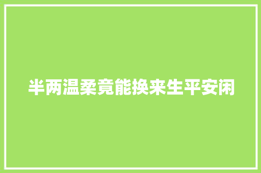 半两温柔竟能换来生平安闲