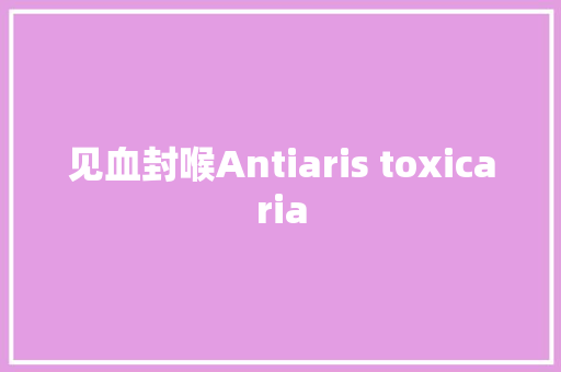 见血封喉Antiaris toxicaria
