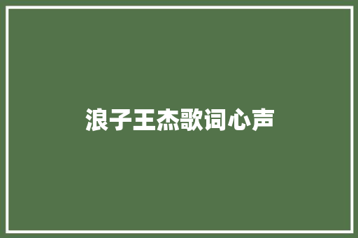 浪子王杰歌词心声