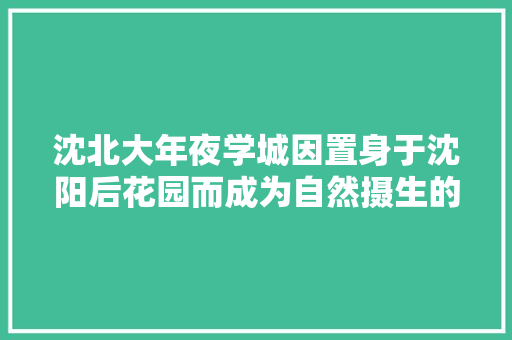 沈北大年夜学城因置身于沈阳后花园而成为自然摄生的福地