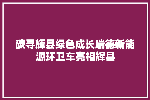 碳寻辉县绿色成长瑞德新能源环卫车亮相辉县