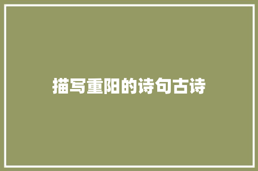 描写重阳的诗句古诗