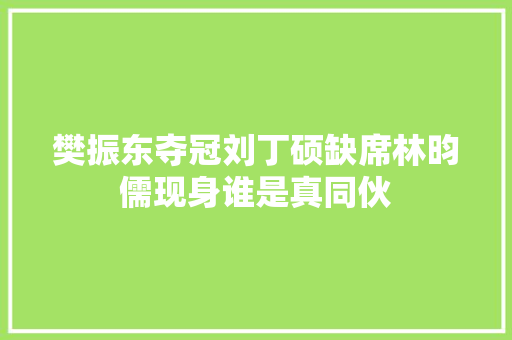 樊振东夺冠刘丁硕缺席林昀儒现身谁是真同伙